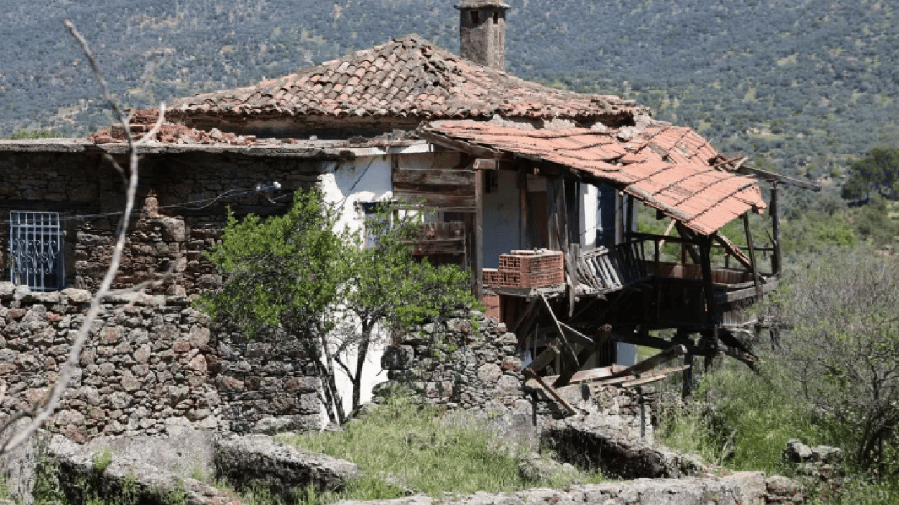 Foto - Yüzlerce insandan eser kalmadı! Şimdi hayalete döndü!