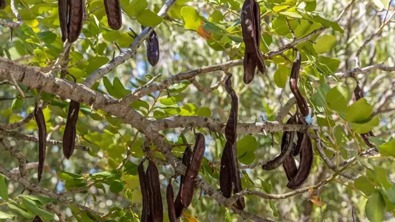 Foto - Yüzlerine vurun bu verileri! ‘Tarım bitmiş bitmiş’ diyenleri rezil eden tablo