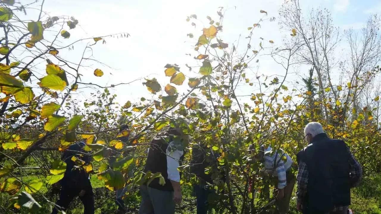 Foto - Yüzlerine vurun bu verileri! ‘Tarım bitmiş bitmiş’ diyenleri rezil eden tablo