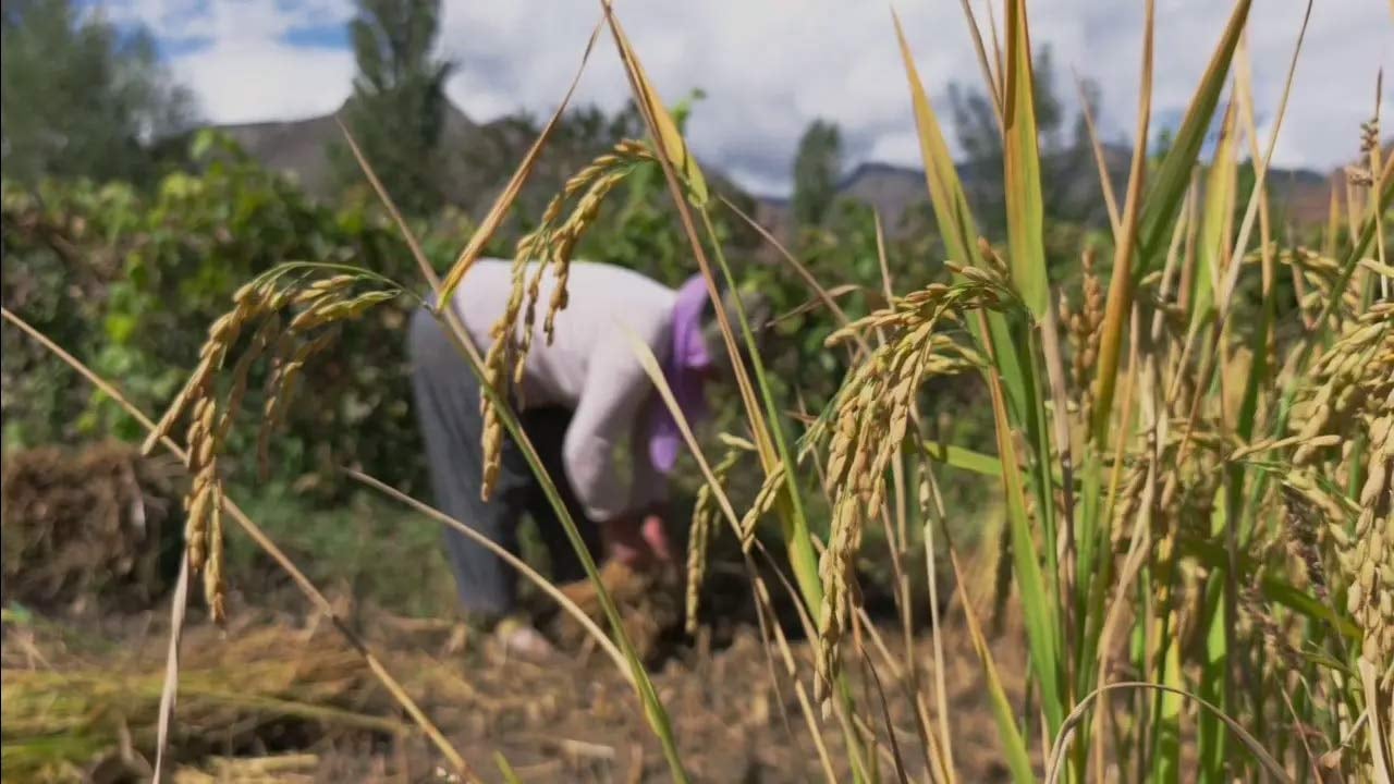 Foto - Yüzlerine vurun bu verileri! ‘Tarım bitmiş bitmiş’ diyenleri rezil eden tablo
