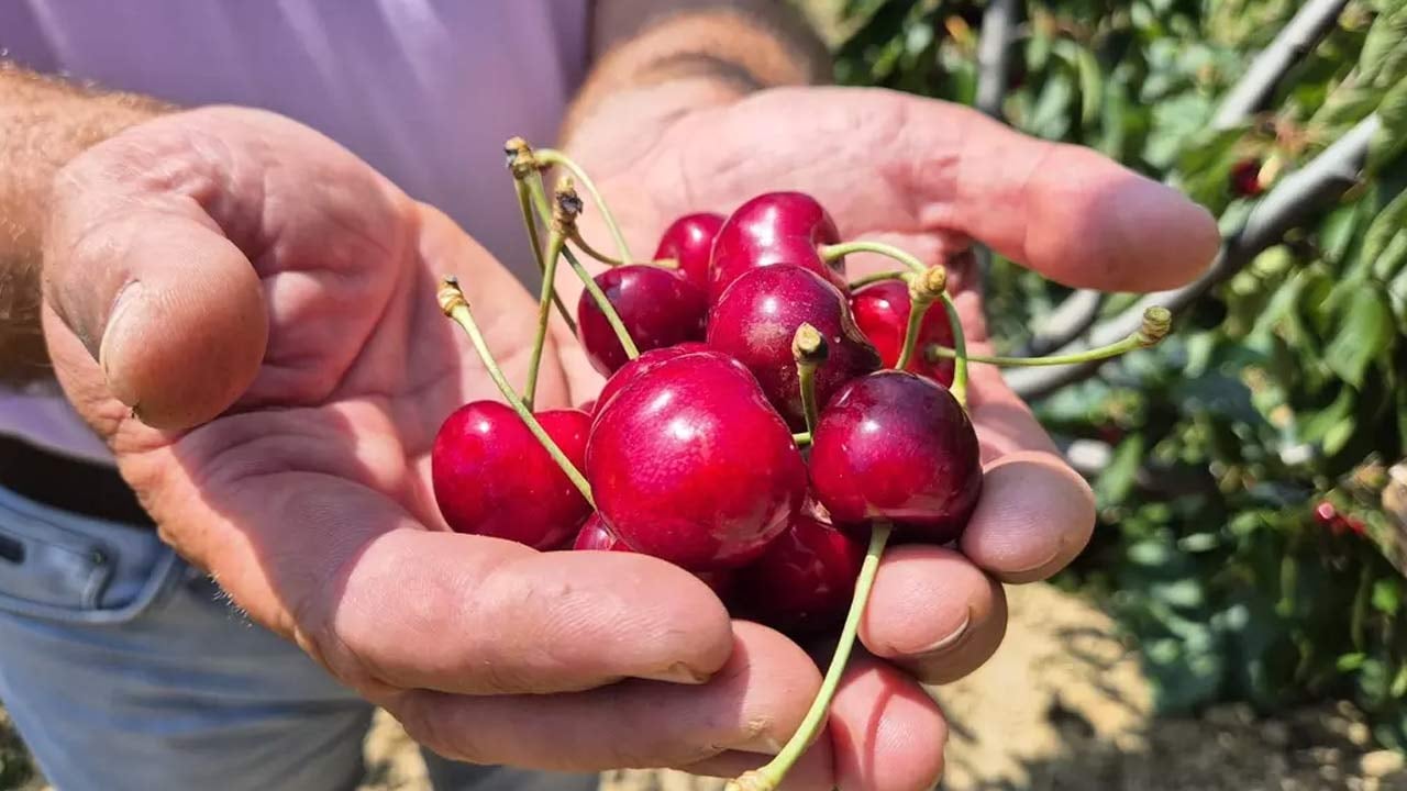 Foto - Yüzlerine vurun bu verileri! ‘Tarım bitmiş bitmiş’ diyenleri rezil eden tablo