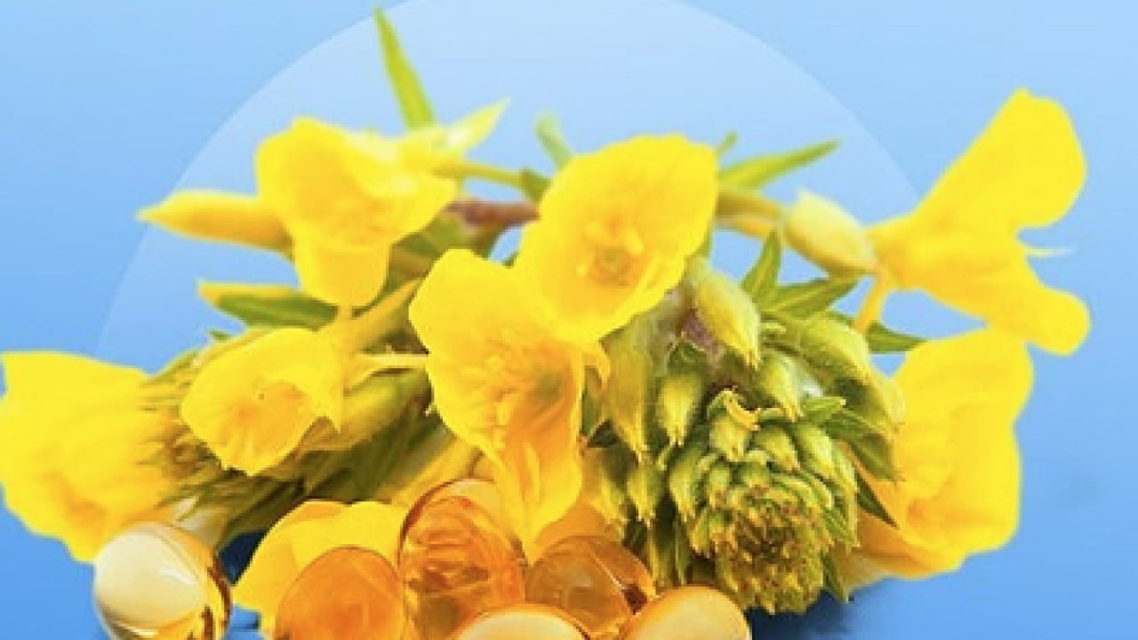 Yüzyıllardır geleneksel tıpta kullanılan... Yağı kolesterole, çiçeği aknelere... Doğadan gelen şifalı bitki