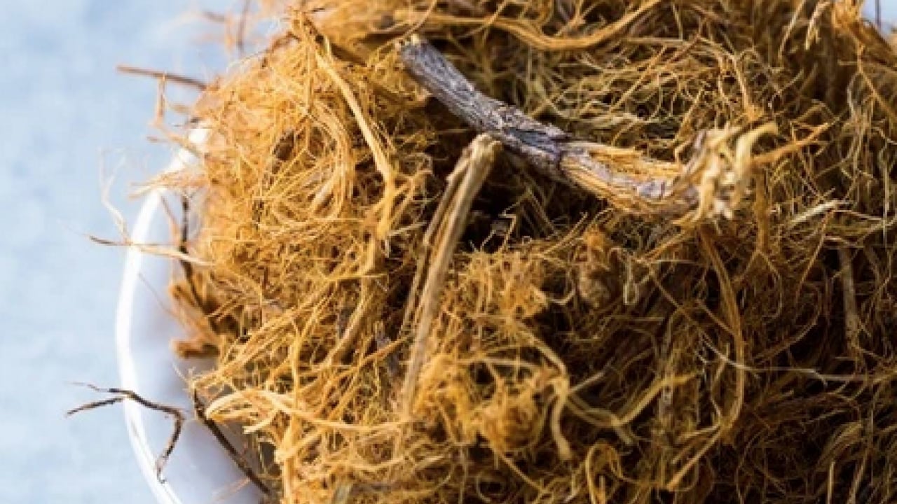 Foto - Yüzyıllardır geleneksel tıpta... Oksijen tüpü gibi gibi bitki! Broşları açıyor, astıma şifa