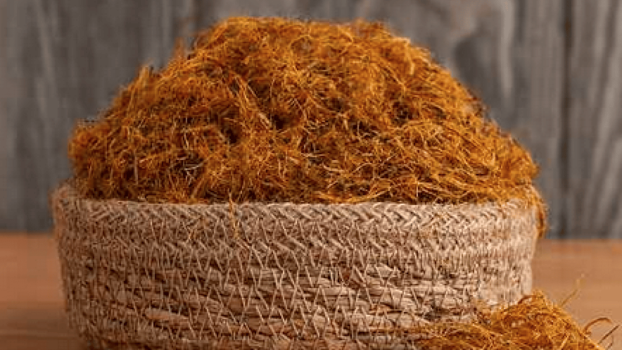 Foto - Yüzyıllardır geleneksel tıpta... Oksijen tüpü gibi gibi bitki! Broşları açıyor, astıma şifa