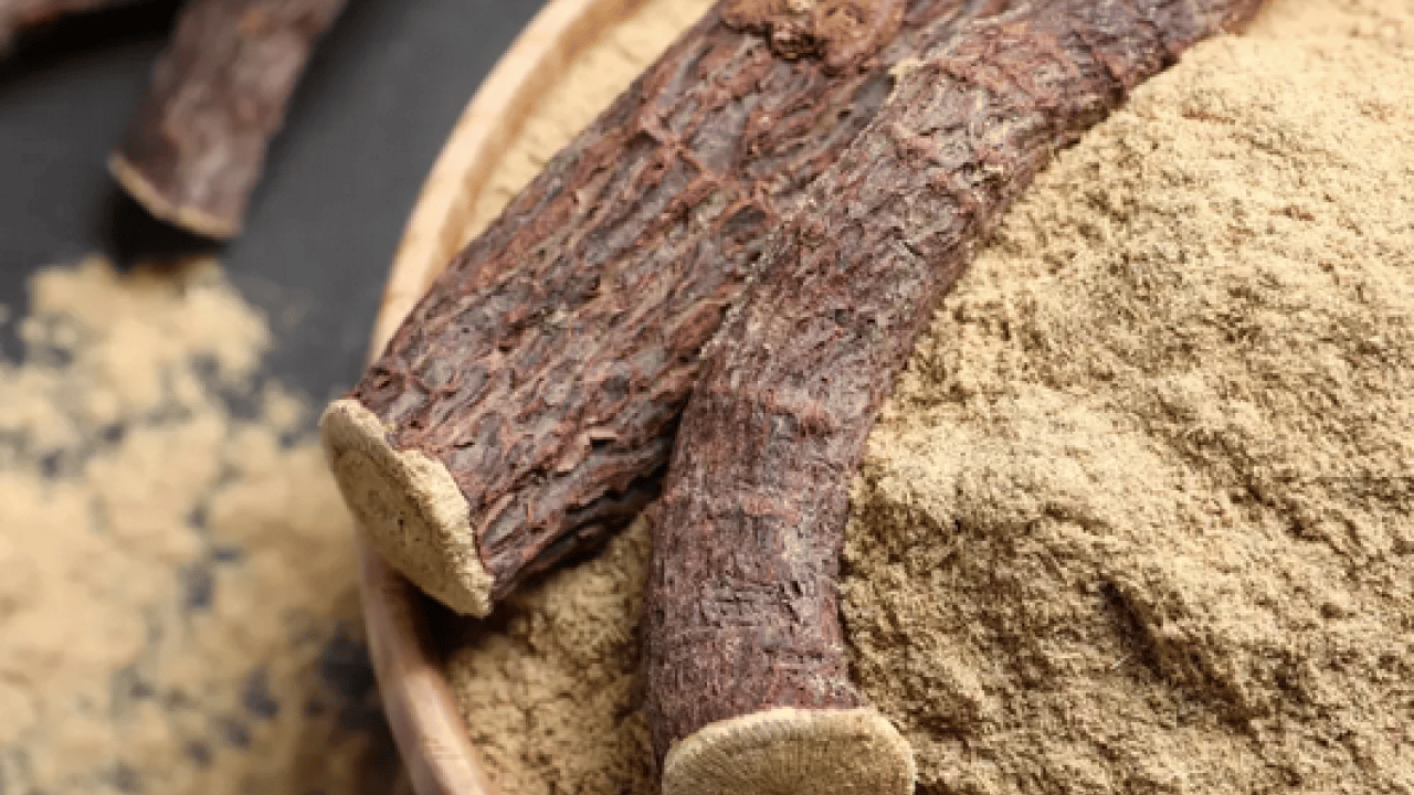 Foto - Yüzyıllardır geleneksel tıpta... Oksijen tüpü gibi gibi bitki! Broşları açıyor, astıma şifa