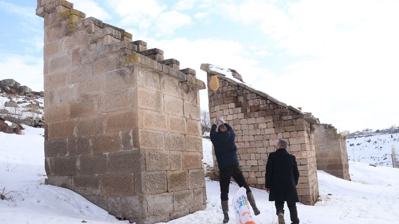 Foto - Yüzyıllık miras çöküyor! Tarihi güvercinlikler için zaman daralıyor