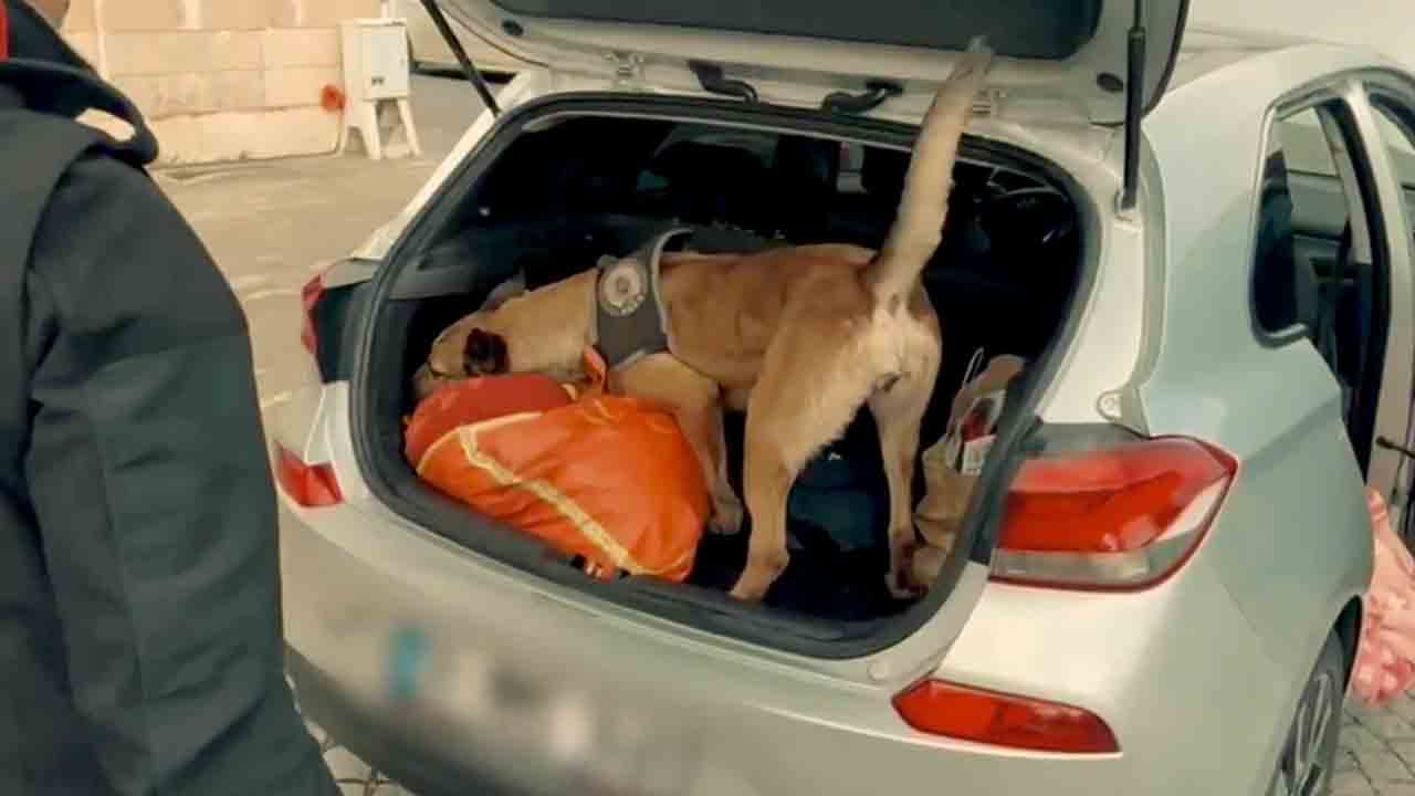 Foto - Zehir tacirlerine 69 ilde nefes kesen operasyon! Bin 18 şüpheli, 586 kg uyuşturucu, 4 milyon 715 bin 47 adet Uyuşturucu Hap ele geçirildi!