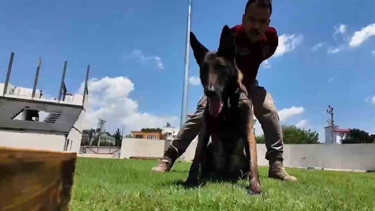 Foto - Zehir tacirlerinin korkulu rüyası: 3. kez Türkiye'nin en başarılısı seçildi!