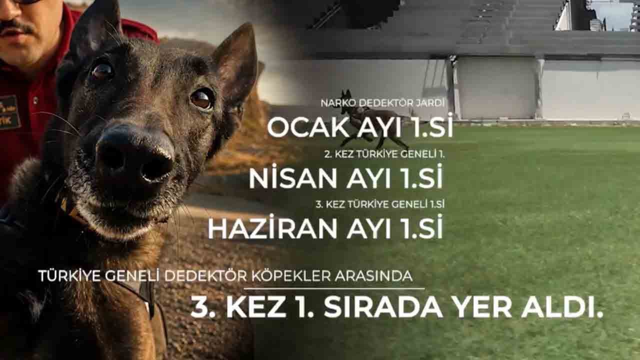 Zehir tacirlerinin korkulu rüyası: 3. kez Türkiye'nin en başarılısı seçildi!