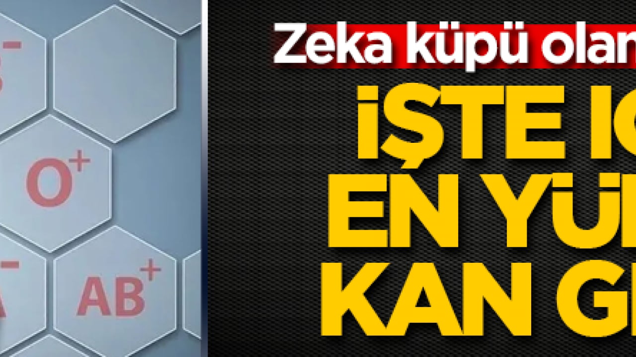 Zeka küpü olanlar bu grupta: İşte IQ’su en yüksek kan grubu