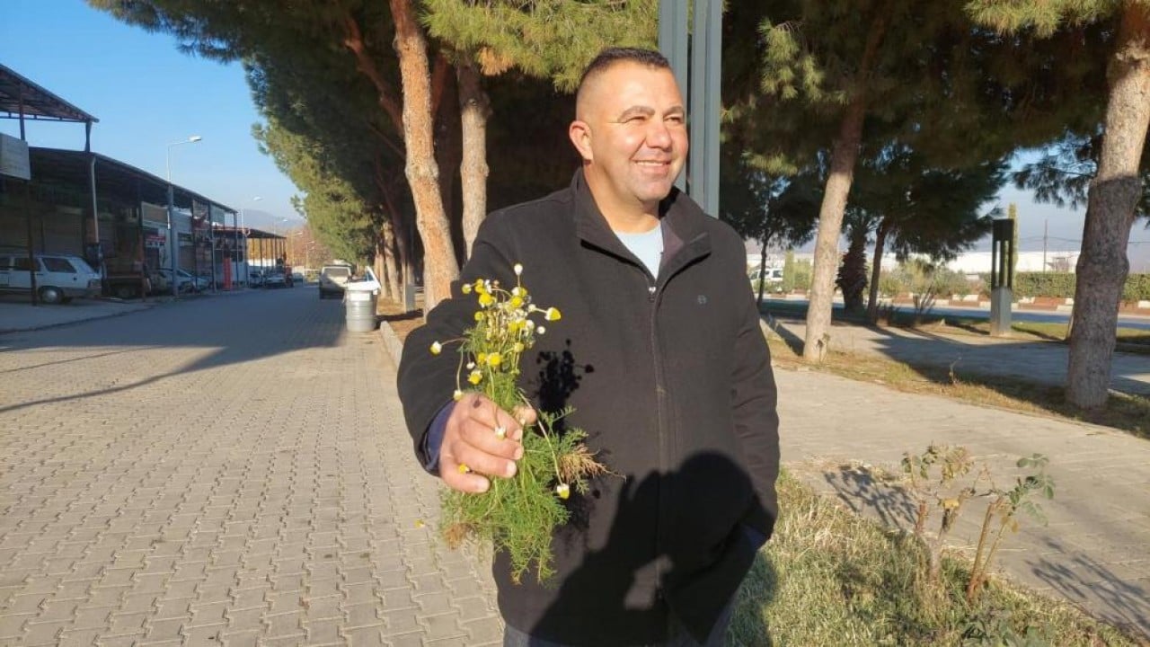 Foto - Zemheri papatyaları açtı! Çiftçiler endişelendi