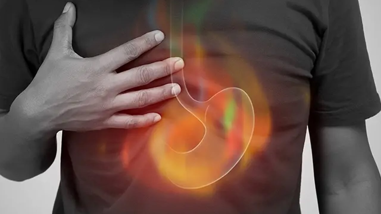 Foto - Zeytin çekirdeği neden atılmamalı? Hakkında işte detaylar! İbrahim Saraçoğlu tavsiye etti... Türkiye 65 ülkeye gönderiyor! 