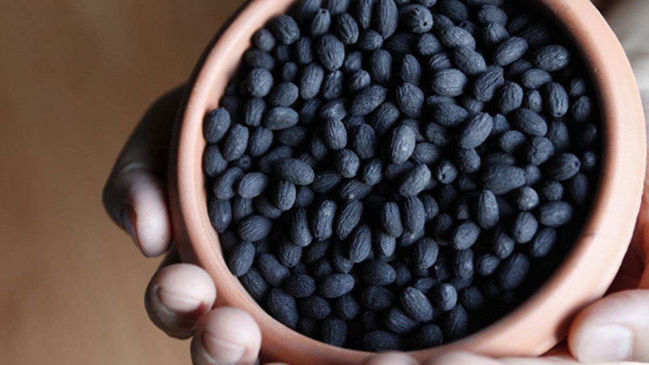 Foto - Zeytin çekirdeği neden atılmamalı? Hakkında işte detaylar! İbrahim Saraçoğlu tavsiye etti... Türkiye 65 ülkeye gönderiyor! 