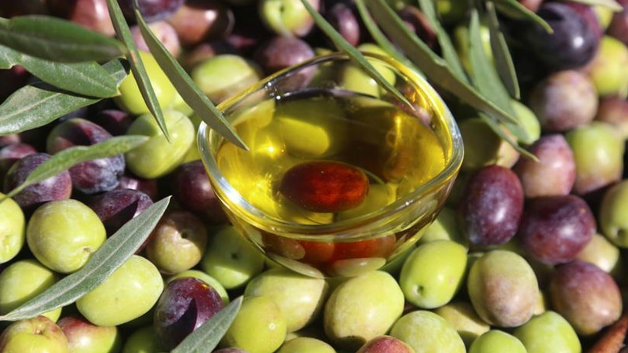 Foto - Zeytin çekirdeklerinin ne işe yaradığını kimse bilmiyor: Öyle bir şey yaptı ki... Yıllardır çöpe gidiyor