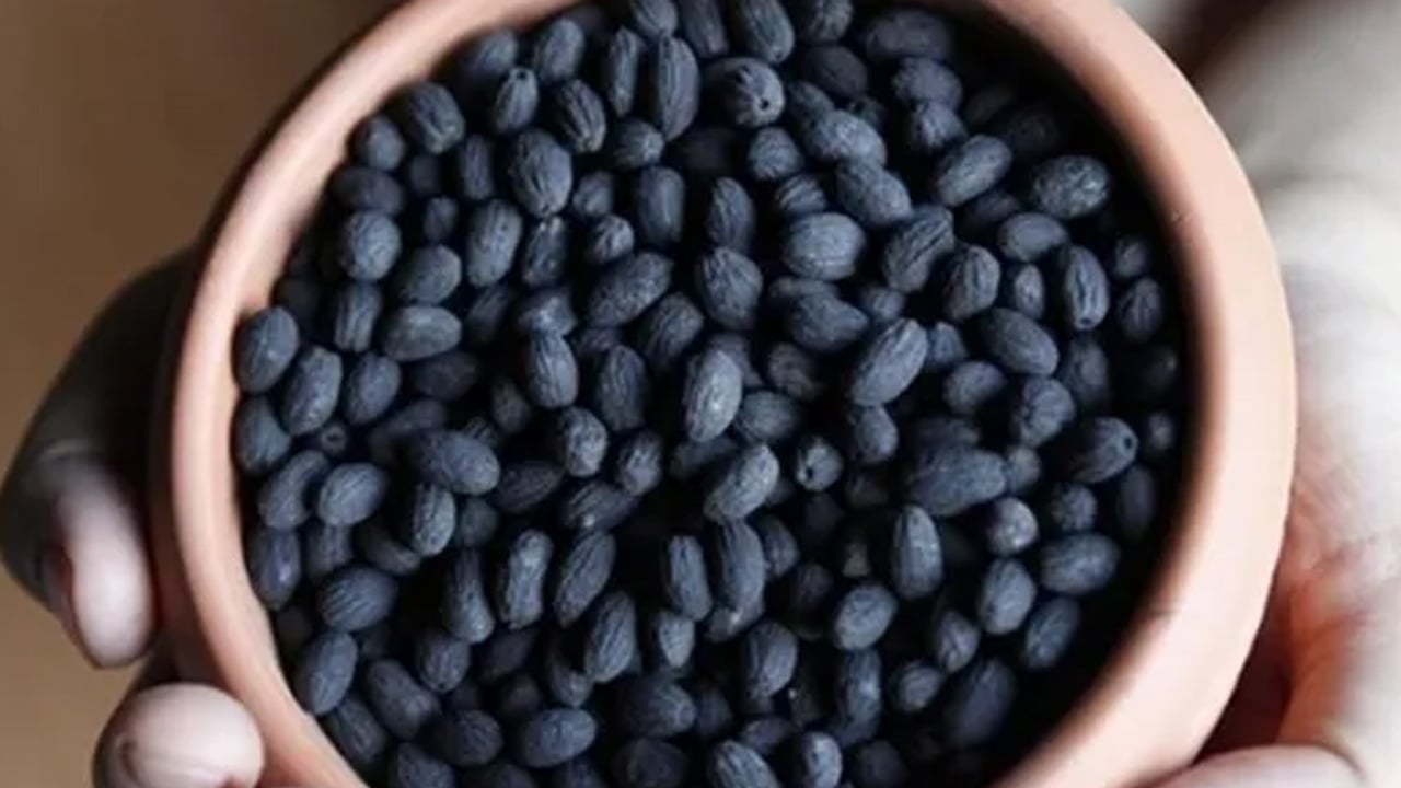 Foto - Zeytin çekirdeklerinin ne işe yaradığını kimse bilmiyor: Öyle bir şey yaptı ki... Yıllardır çöpe gidiyor