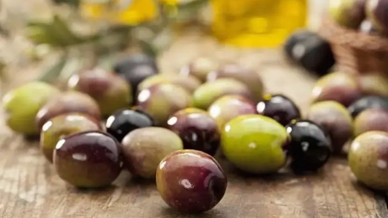Foto - Zeytin devinin konkordato talebi reddedildi