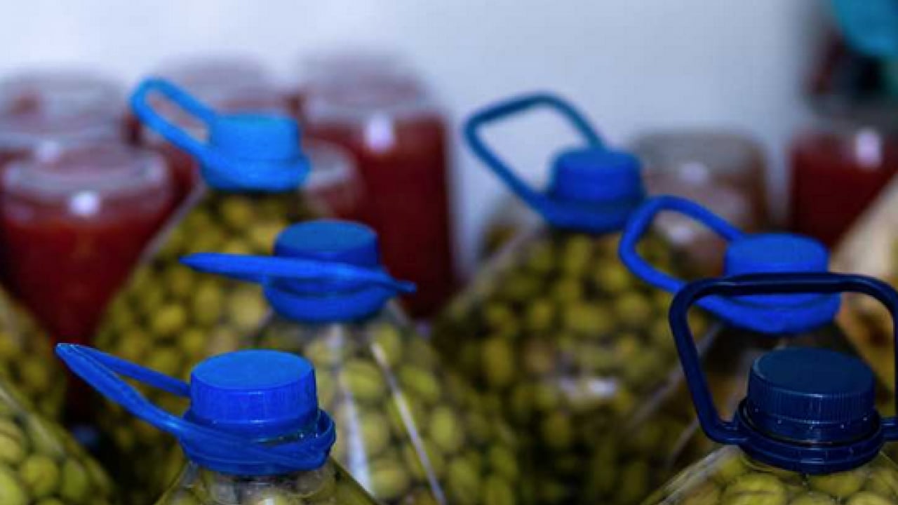 Foto - Zeytin: Kur'an-ı Kerim'de de 6 ayette adı geçiyor! Zeytin kurma telaşı başladı...