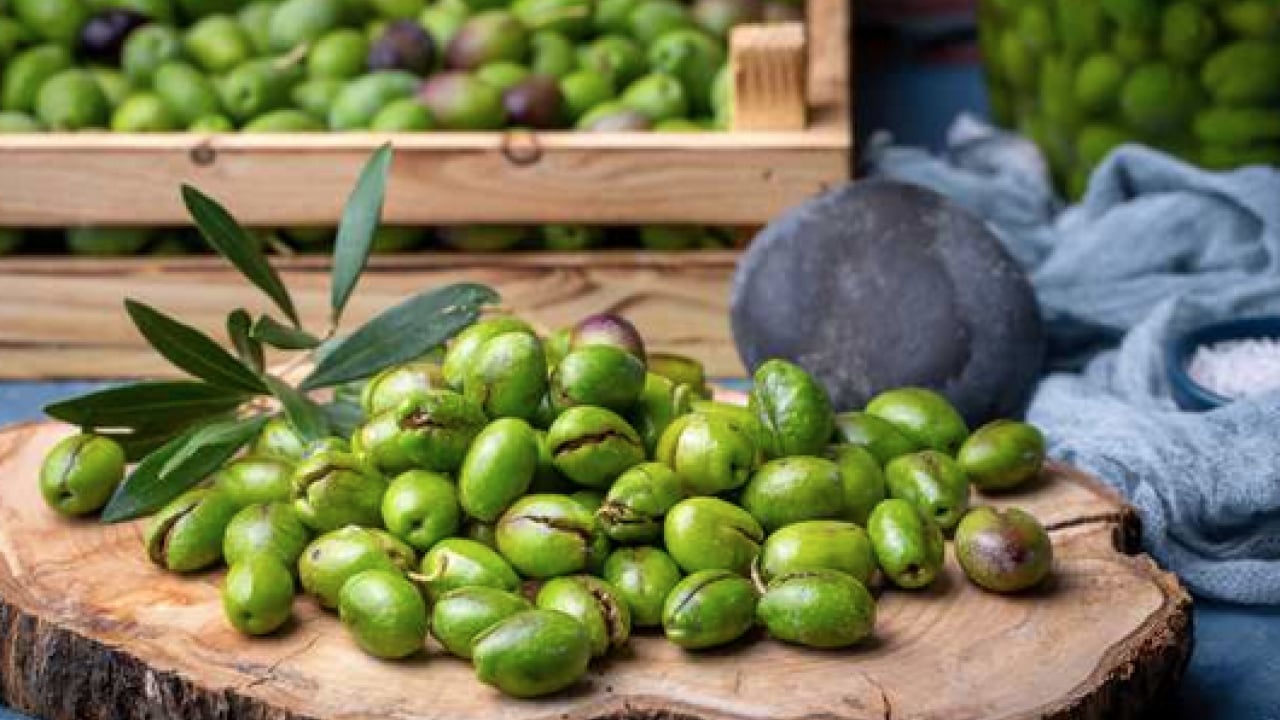 Foto - Zeytin: Kur'an-ı Kerim'de de 6 ayette adı geçiyor! Zeytin kurma telaşı başladı...