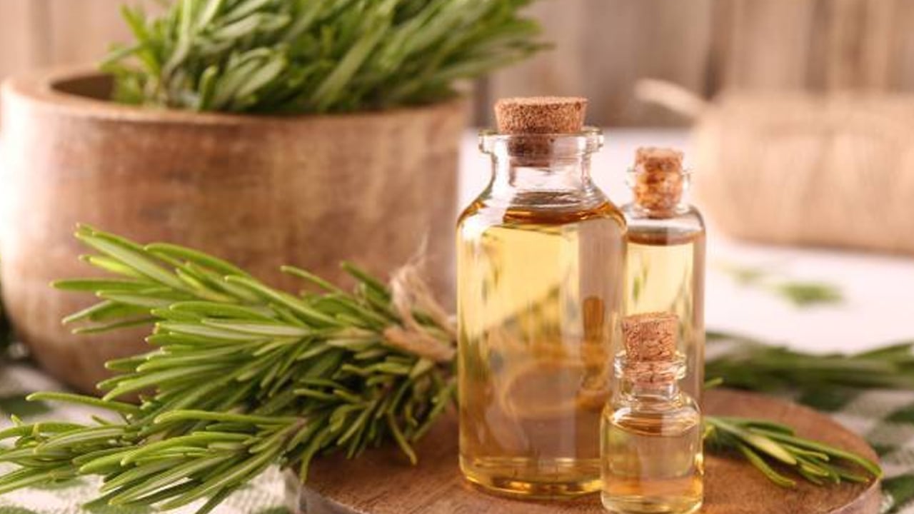 Foto - Zeytinyağının cilde mucize etkisi için içine 2 dal atın şahit olun! Akdeniz'in altın sıvısı...