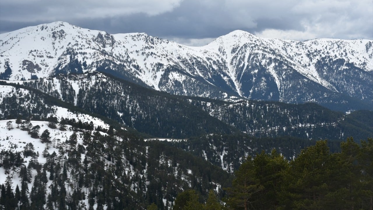 Foto - Zigana Dağı’nda safari zamanı