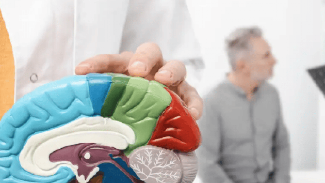 Foto - Zihinsel keskinlik sonrası... Beyninizi genç tutan 10 süper besin! Bilim insanları açıkladı