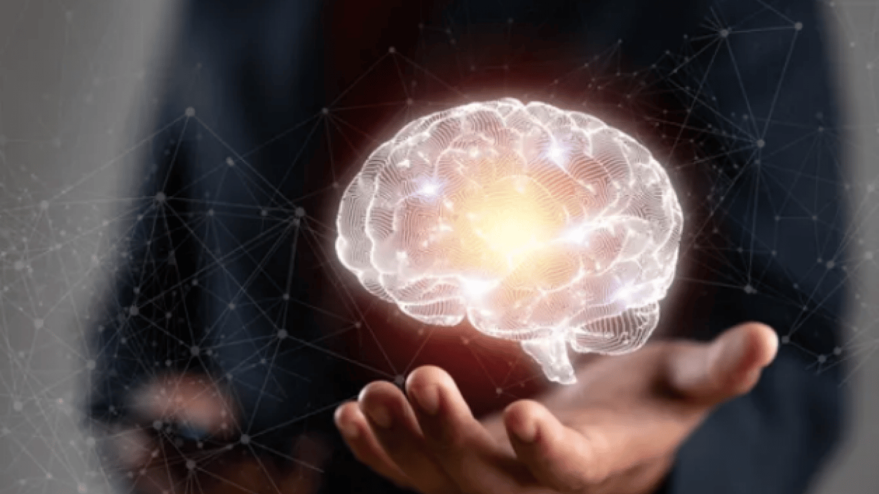 Foto - Zihinsel keskinlik sonrası... Beyninizi genç tutan 10 süper besin! Bilim insanları açıkladı