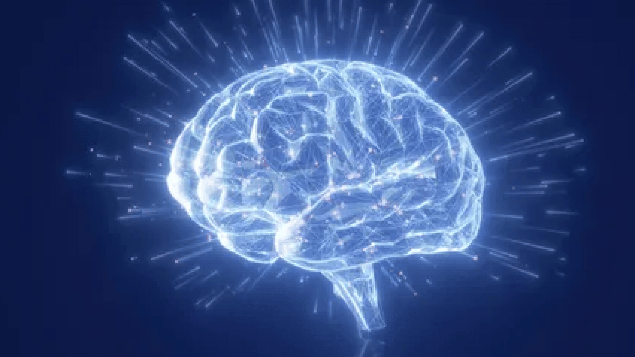 Foto - Zihinsel keskinlik sonrası... Beyninizi genç tutan 10 süper besin! Bilim insanları açıkladı