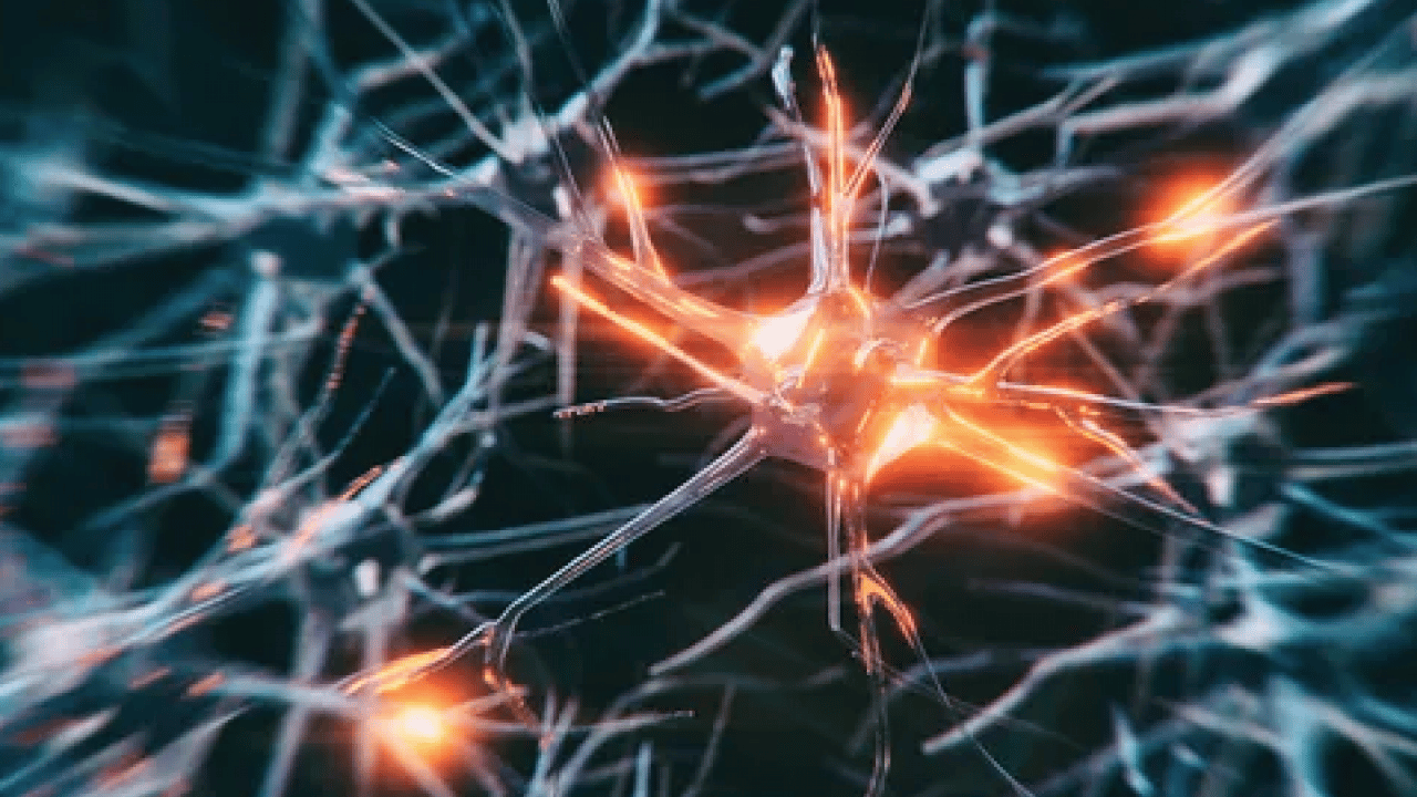 Foto - Zihinsel keskinlik sonrası... Beyninizi genç tutan 10 süper besin! Bilim insanları açıkladı