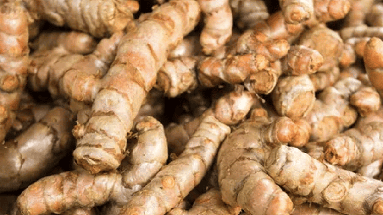 Foto - Zihinsel keskinlik sonrası... Beyninizi genç tutan 10 süper besin! Bilim insanları açıkladı