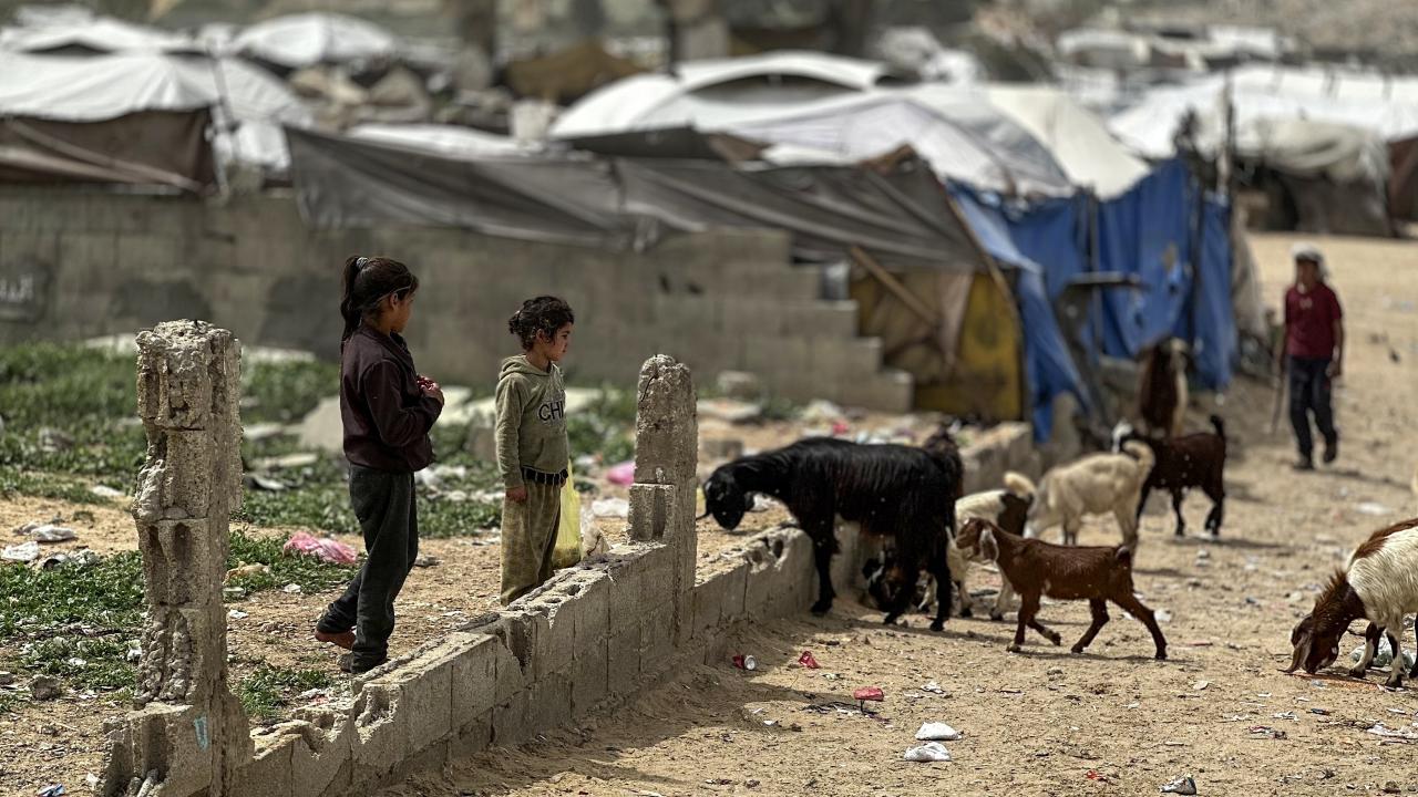 Foto - Bugün 5 Nisan Filistinli Çocuklar Günü! Dünyanın gözü önünde yaşam mücadelesi veriyorlar