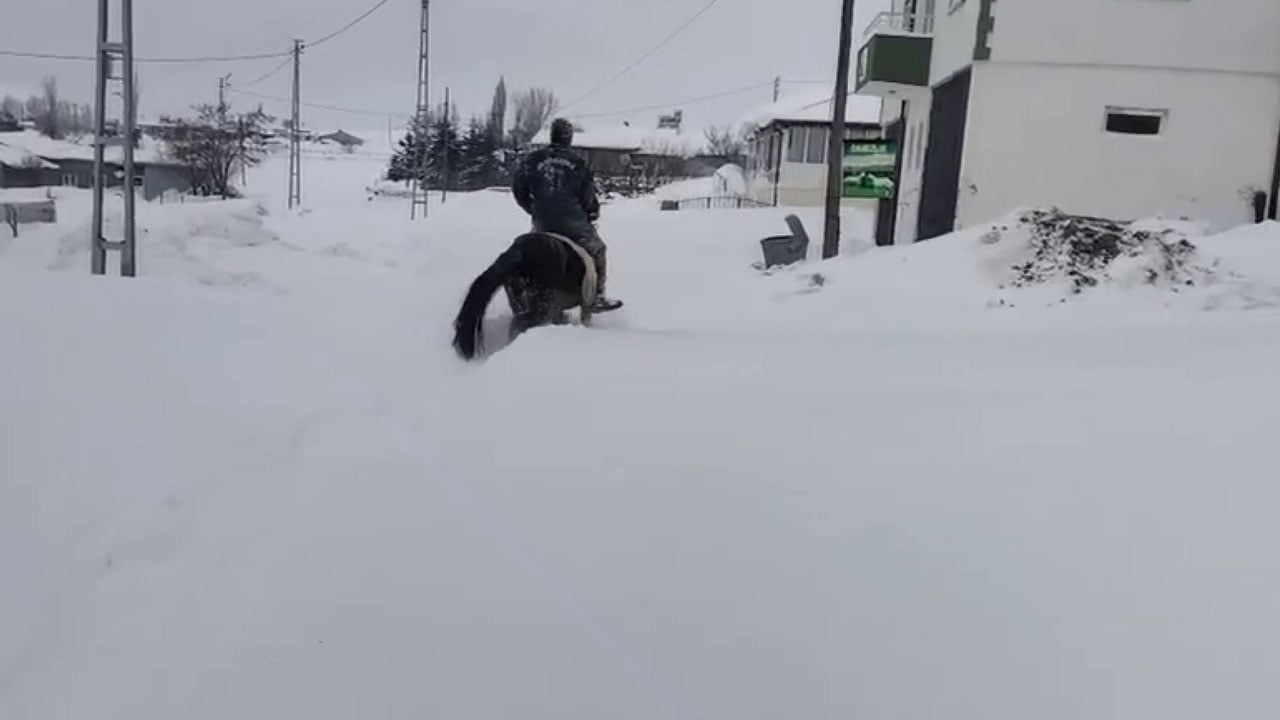 Zorlu şartlarda yaşam mücadelesi! Kar 2 metreyi geçti, çareyi atta buldu