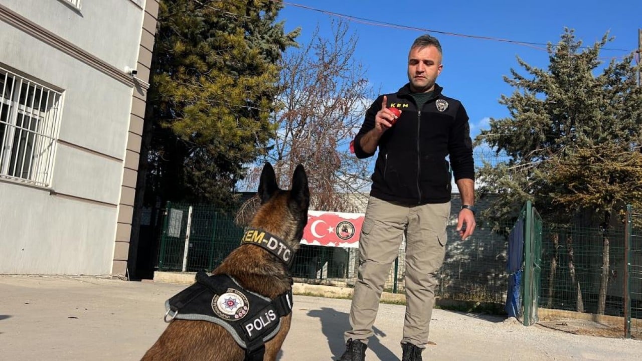 Foto - Zulaları burunlarıyla patlatıyorlar