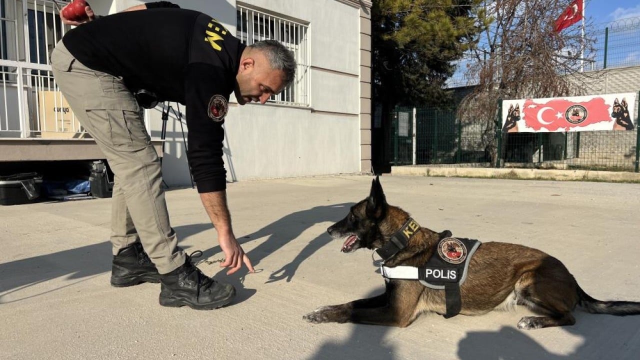 Foto - Zulaları burunlarıyla patlatıyorlar