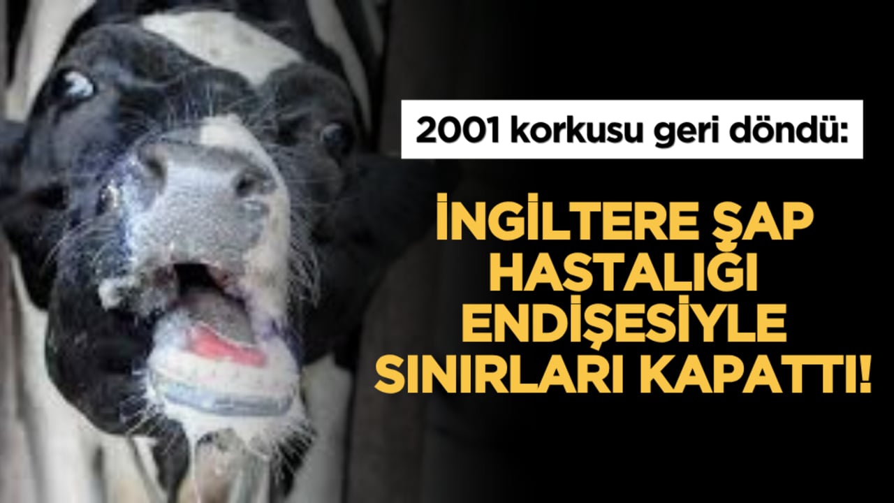 2001 korkusu geri döndü: İngiltere şap hastalığı endişesiyle sınırları kapattı!