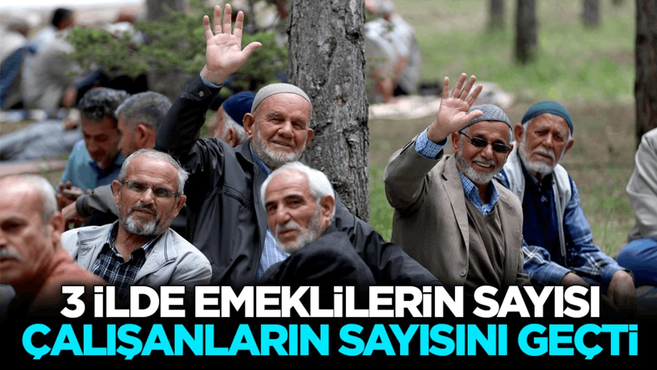 3 ilde emeklilerin sayısı çalışanların sayısını geçti