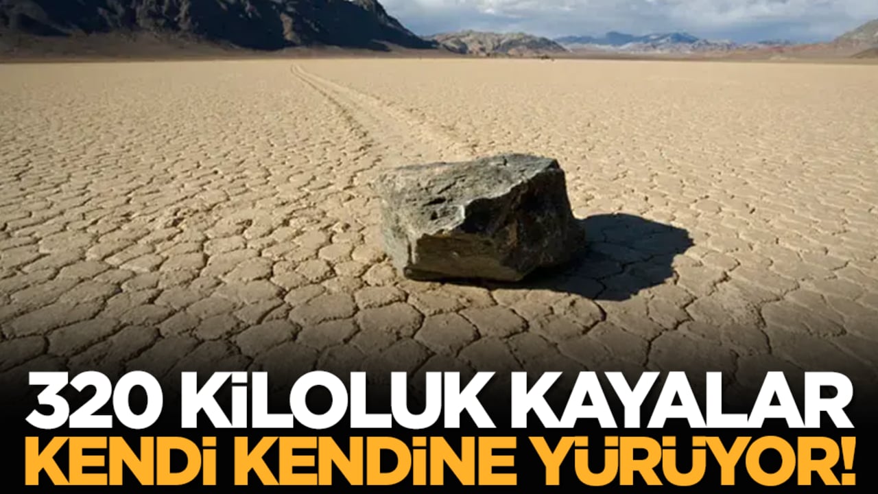 320 kiloluk kayalar kendi kendine yürüyor!