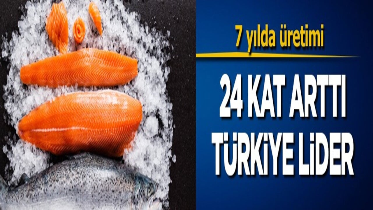 7 yılda üretimini 24 kat artırdı: 34 bin 470 ton somon üretildi! Türkiye harekete geçti, resmen lider!