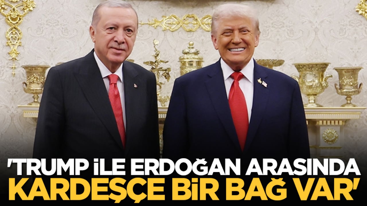 ABD'li yetkili: 'Trump ile Erdoğan arasında kardeşçe bir bağ var'