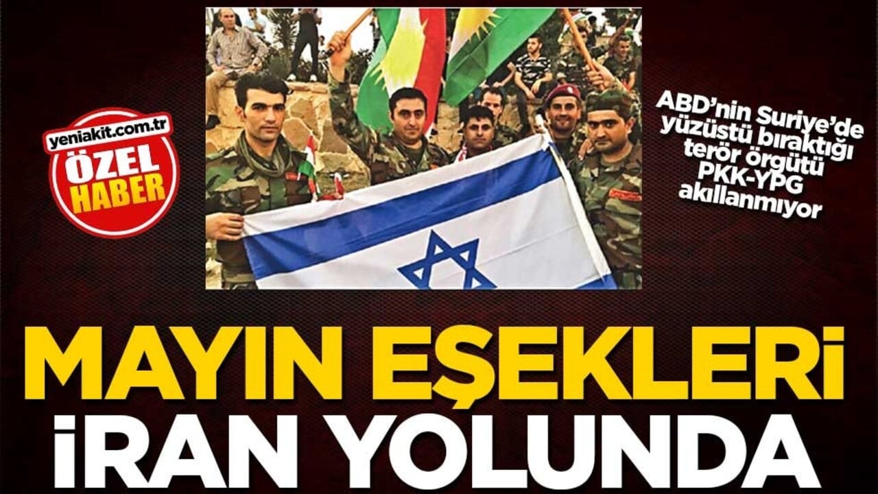 ABD’nin Suriye’de yüzüstü bıraktığı terör örgütü PKK-YPG akıllanmıyor! Mayın eşekleri İran yolunda