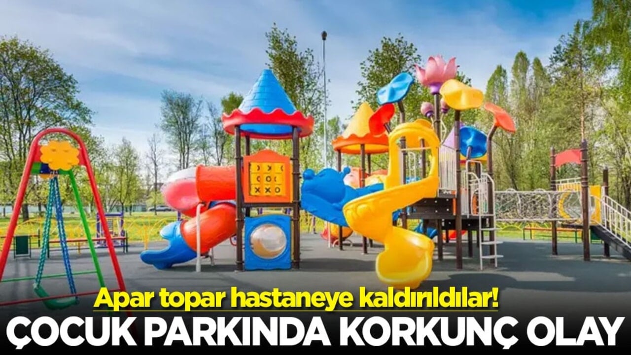 Apar topar hastaneye kaldırıldılar! Çocuk parkında korkunç olay