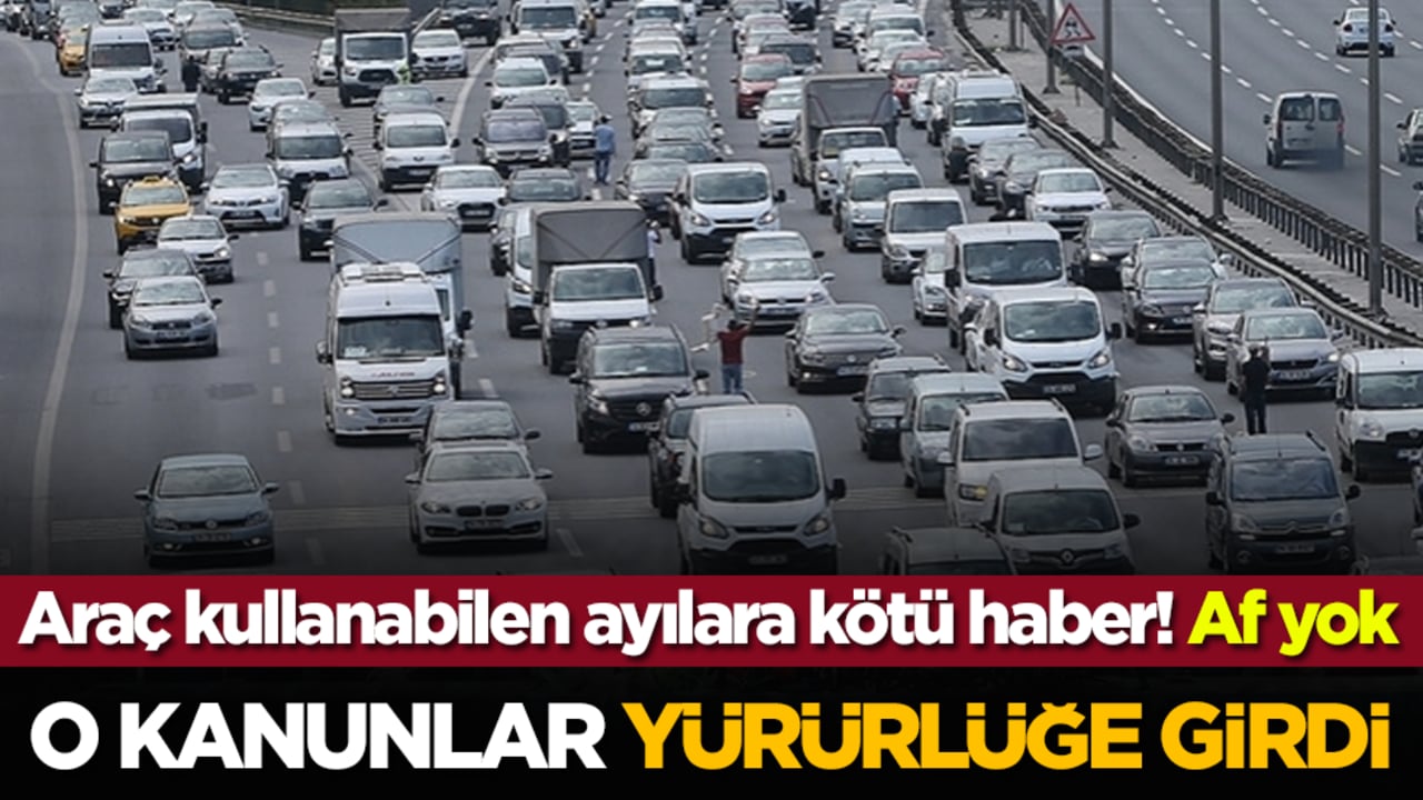 Araç kullanabilen ayılara kötü haber: O kanunlar yürürlüğe girdi