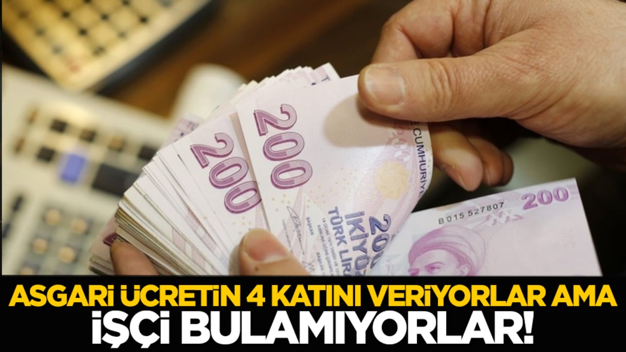 Asgari ücretin 4 katını veriyorlar ama işçi bulamıyorlar!