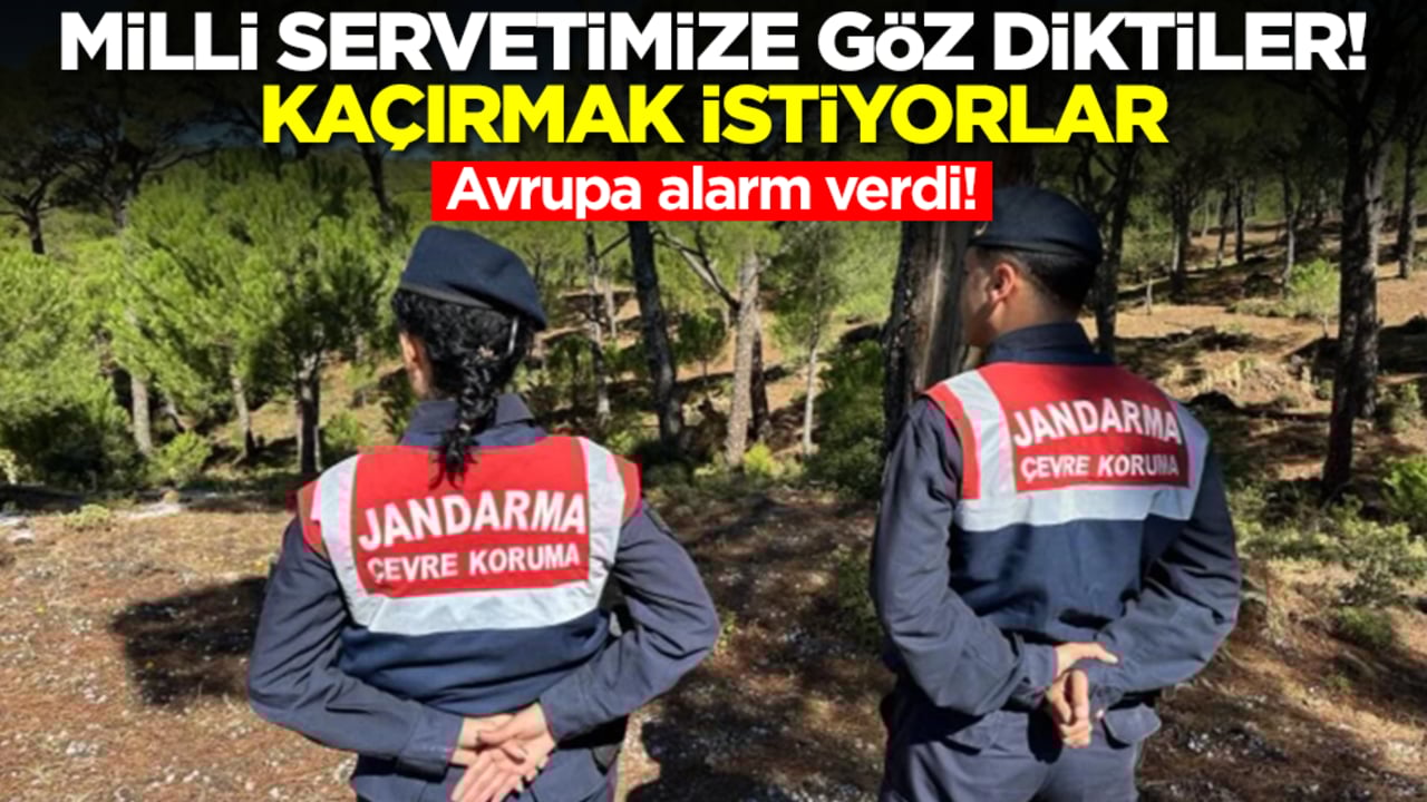 Avrupa alarm verdi! Milli servetimize göz diktiler, kaçırmak istiyorlar
