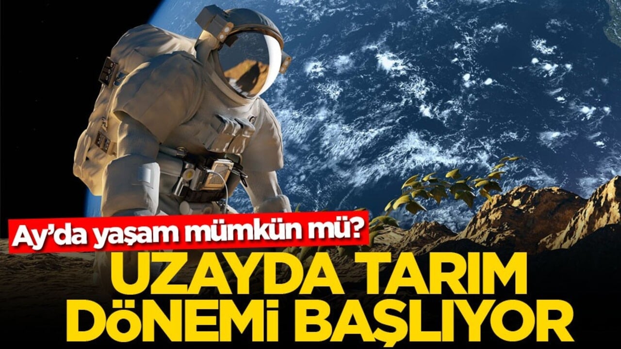 Ay’da yaşam mümkün mü? Uzayda tarım dönemi başlıyor