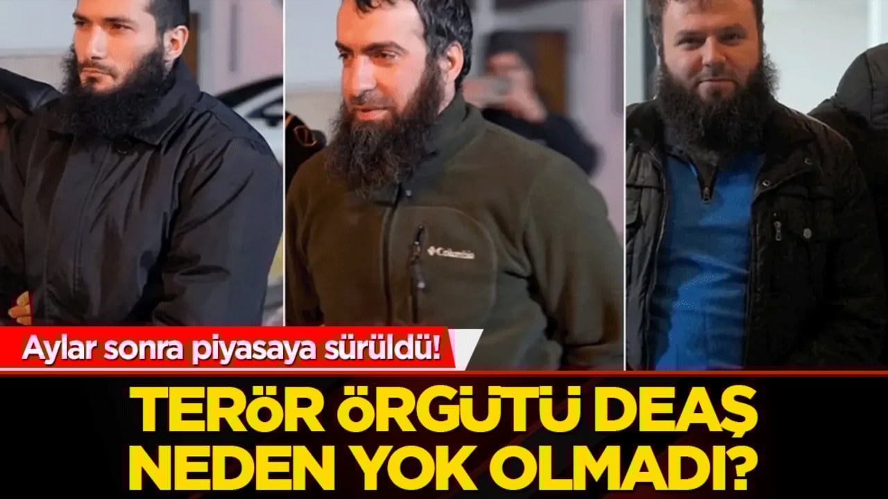 Aylar sonra piyasaya sürüldü! Terör örgütü DEAŞ neden yok olmadı?
