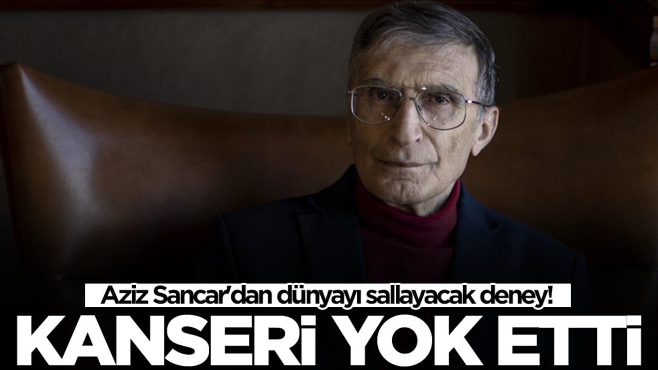 Aziz Sancar'dan dünyayı sallayacak deney: Kanseri yok etti
