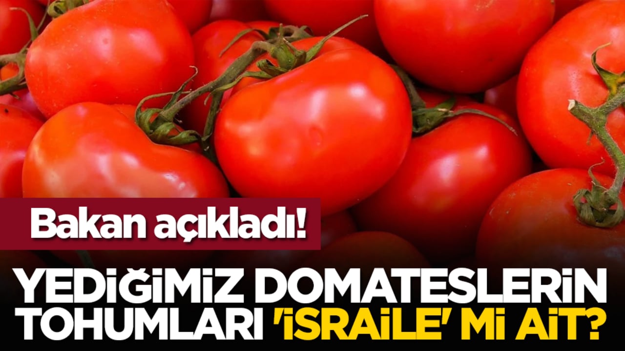 Bakan açıkladı! Yediğimiz domateslerin tohumları 'israile' mi ait?