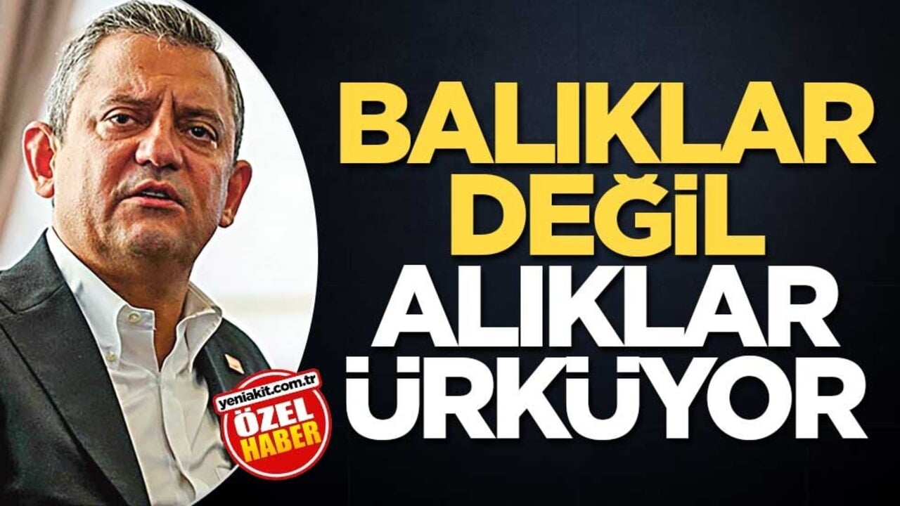 Balıklar değil alıklar ürküyor