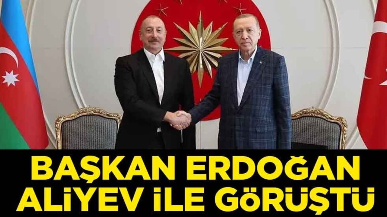 Başkan Erdoğan Aliyev ile görüştü