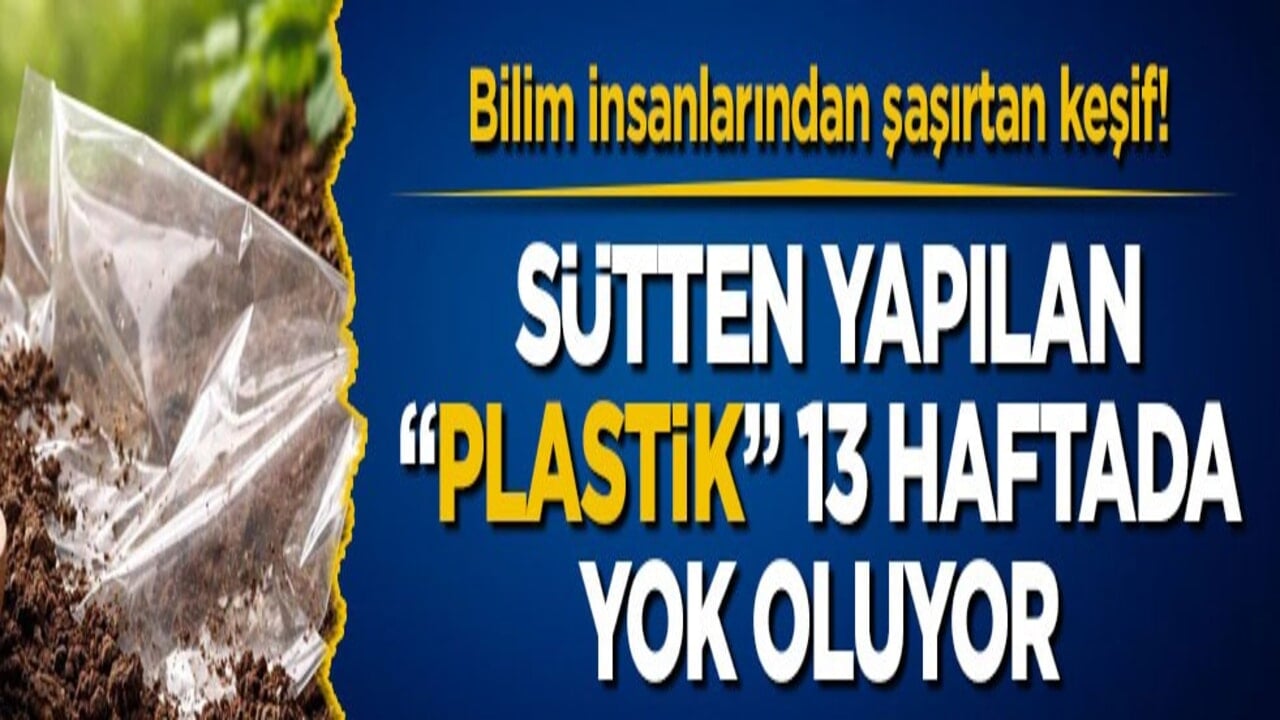 Bilim insanlarından şaşırtan keşif! Sütten yapılan "plastik" 13 haftada yok oluyor